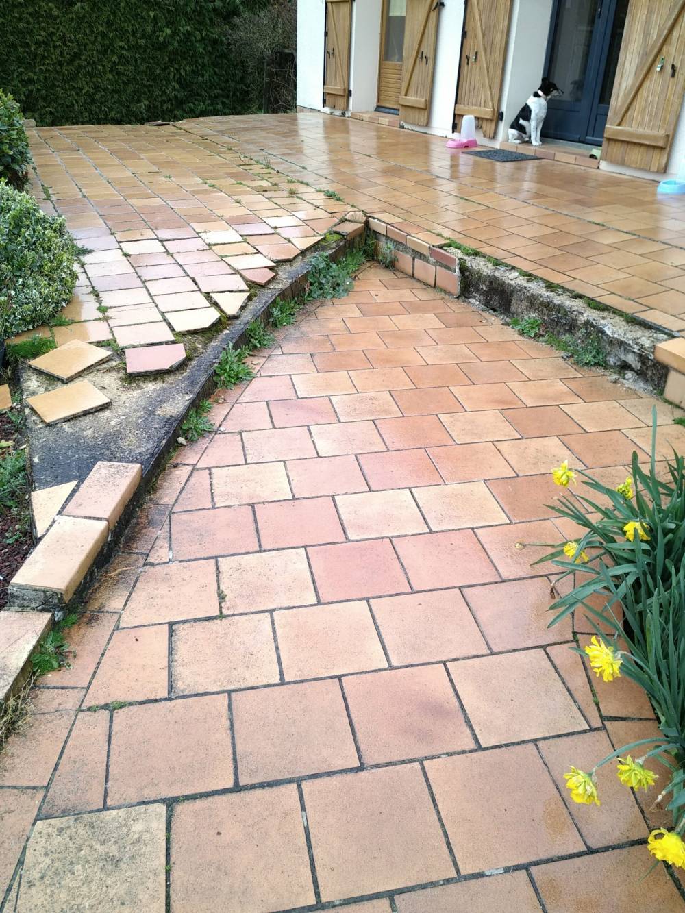 terrasse avant travaux
